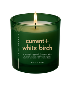 3 wick- Currant + White Birch