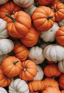 Pumpkin- Peppermint