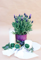 Lavender-Sage